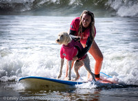 2022 NOOSA SURF DOG FESTIVAL